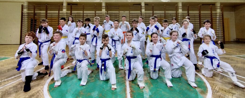 Grupa średniozaawansowana karate