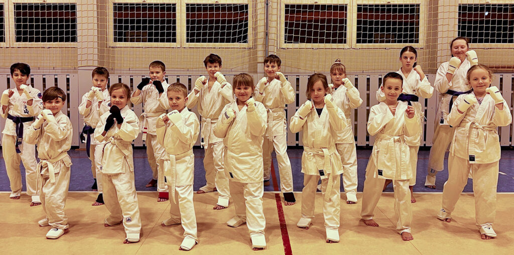 Grupa początkujaca Karate - Siemianowice Śląskie