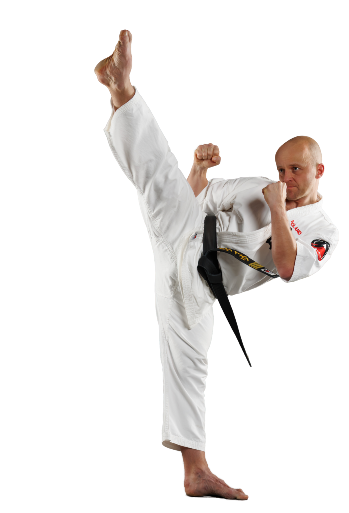 Sensei Tomasz Mrowiec 4 dan - mawashi geri jodan prawą nogą